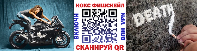 Купить закладки  Пермь  COCAIN Fish Scale 